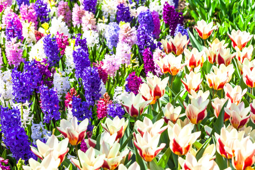 1013578 (a): :2340x1560